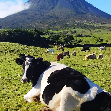 Chalet Adega Do Capitao