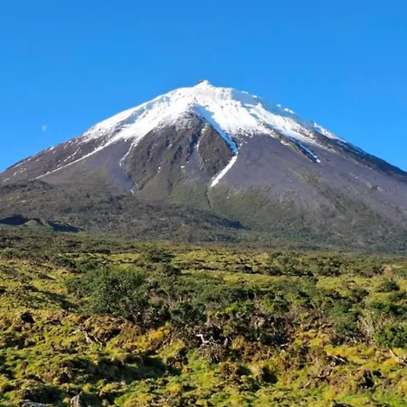 Adega Do Capitao * Piedade (Azores)