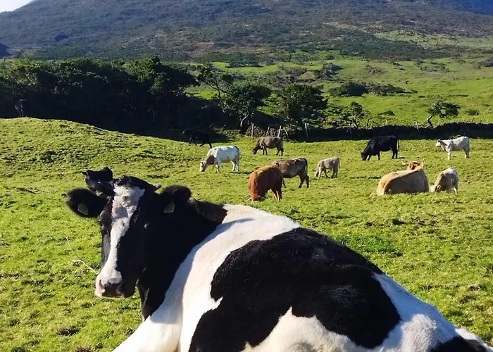 Alpesi faház Adega Do Capitao